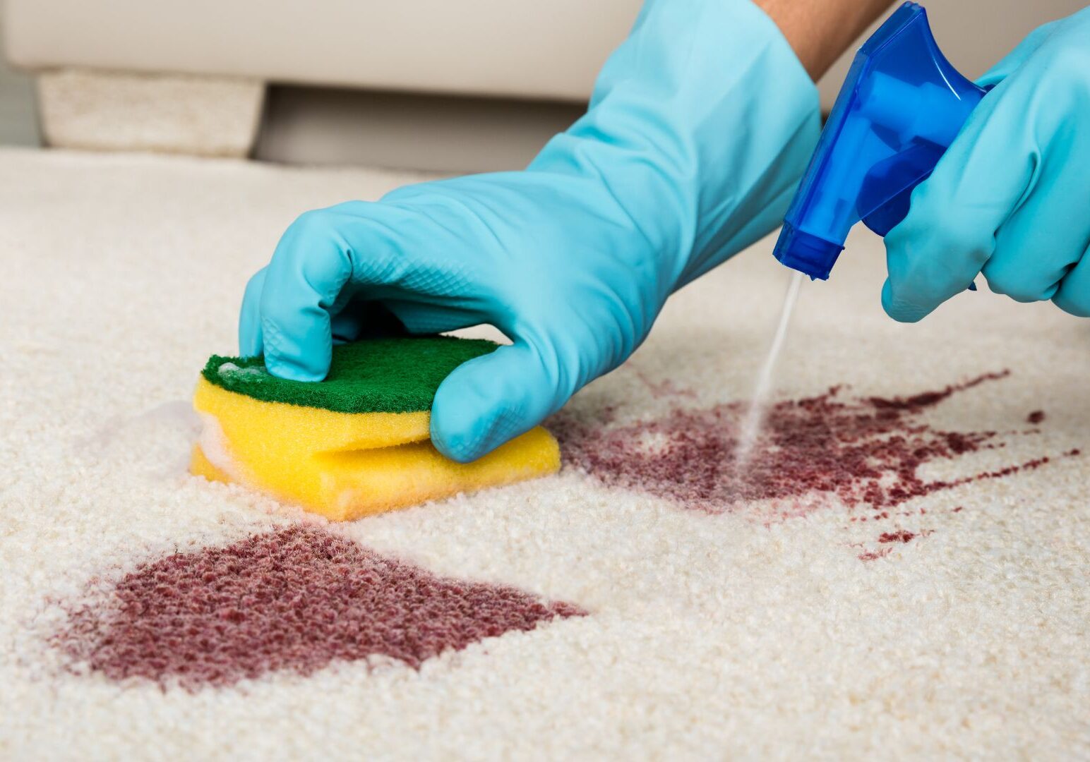 Best Carpet Cleaning _Xclusive Home Services Best Carpet Cleaning _Xclusive Home Services