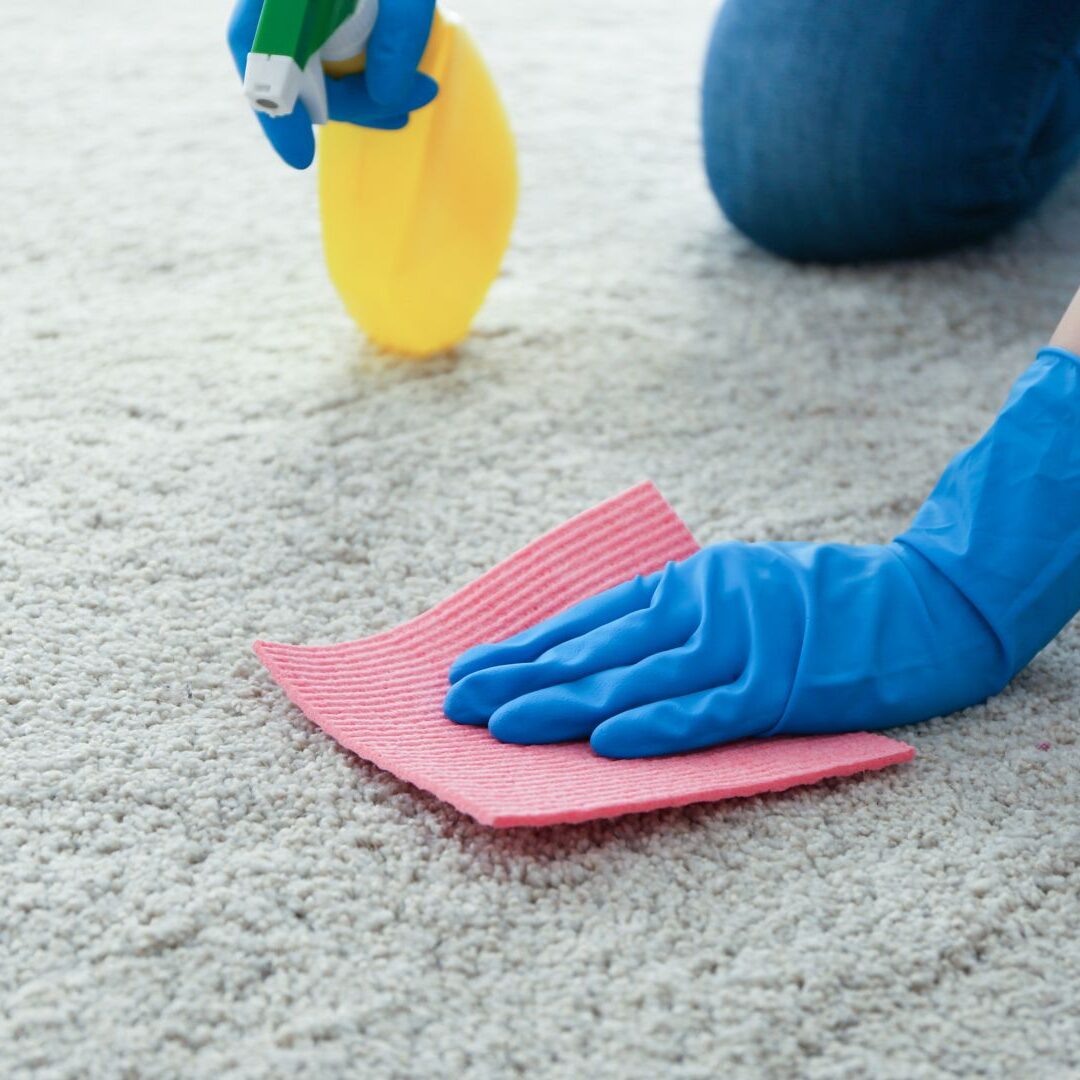Carpet Cleaning Company_Xclusive Home Services Carpet Cleaning Company_Xclusive Home Services