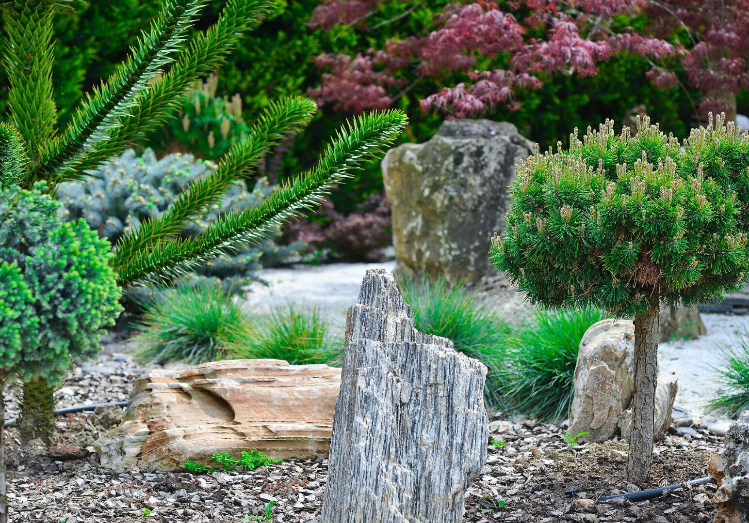 Landscape Service_Xclusive Home Services Landscape Service_Xclusive Home Services