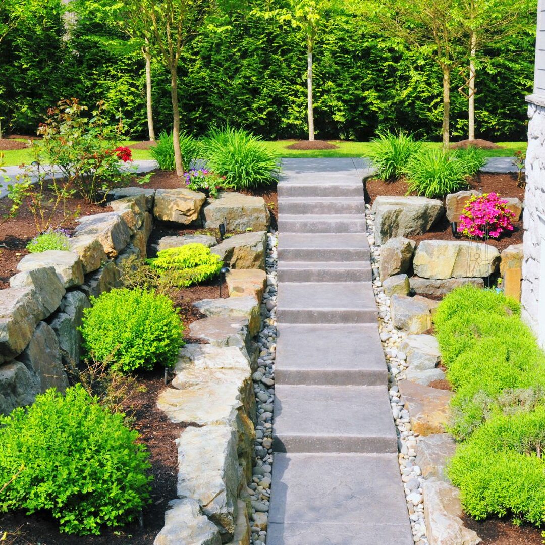 Landscape Service_Xclusive Home Services Landscape Service_Xclusive Home Services