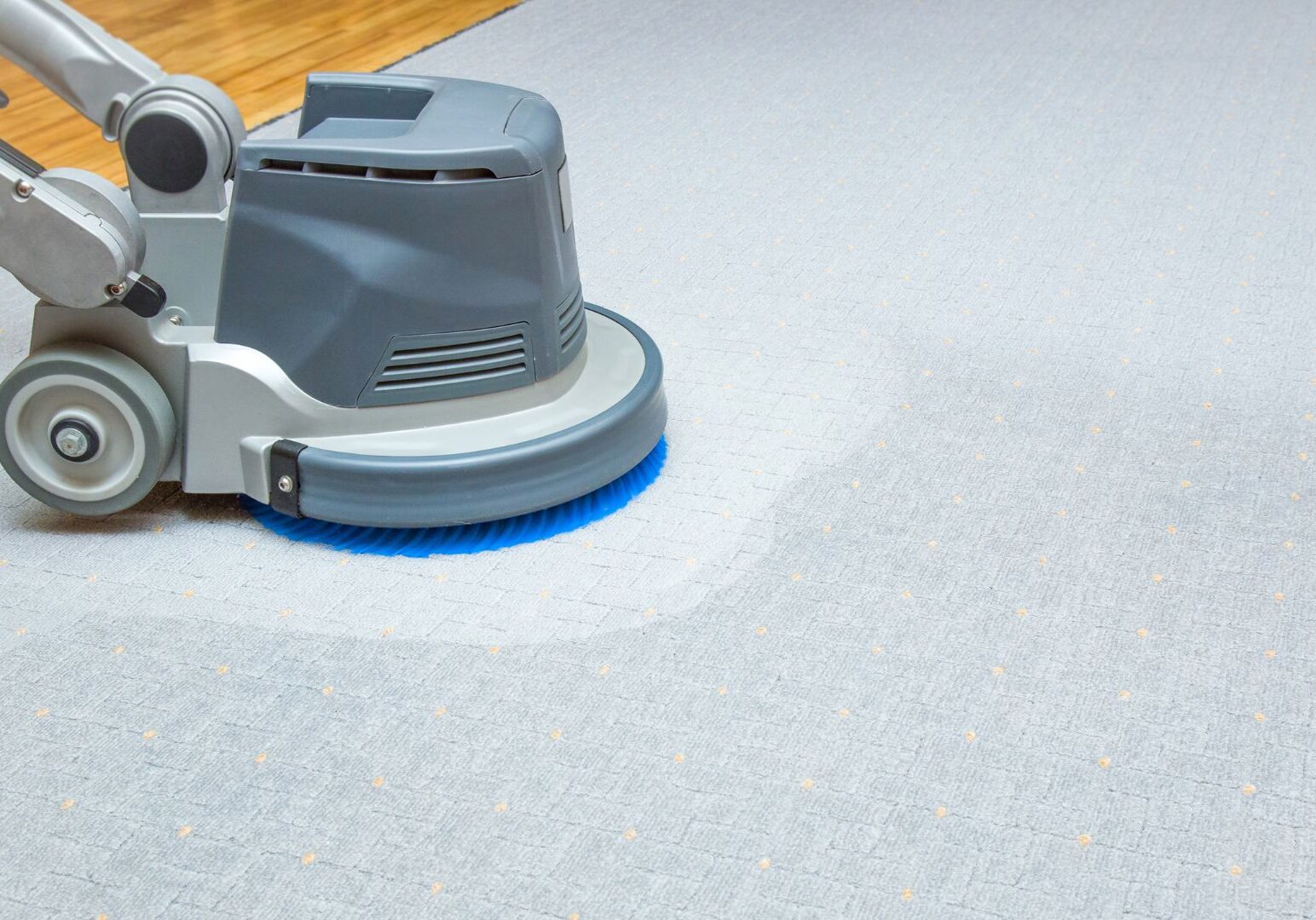 Top Carpet Cleaning Companies_Xclusive Home Services Top Carpet Cleaning Companies_Xclusive Home Services